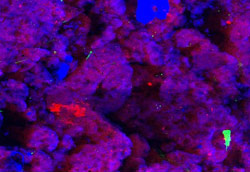 Microspectroscopy 