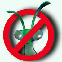 NOBUGS