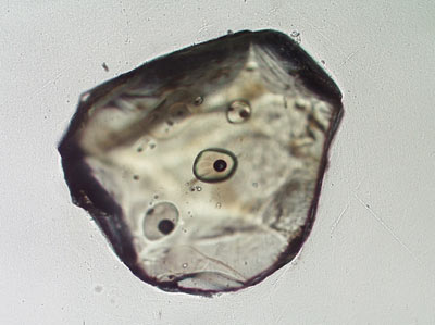 Olivine grain