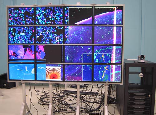 OptIPortal