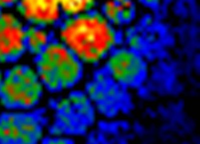 Scanning transmission electron micrograph of graphitic carbon-nitride