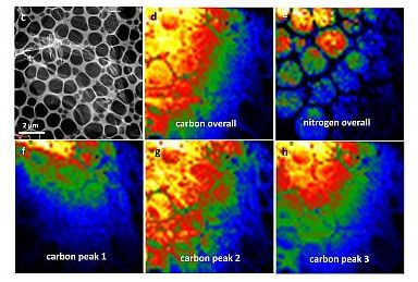 Scanning TEM images of C3N4 nanosheet