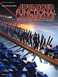 Front cover of Advanced Functional Manufacturing journal